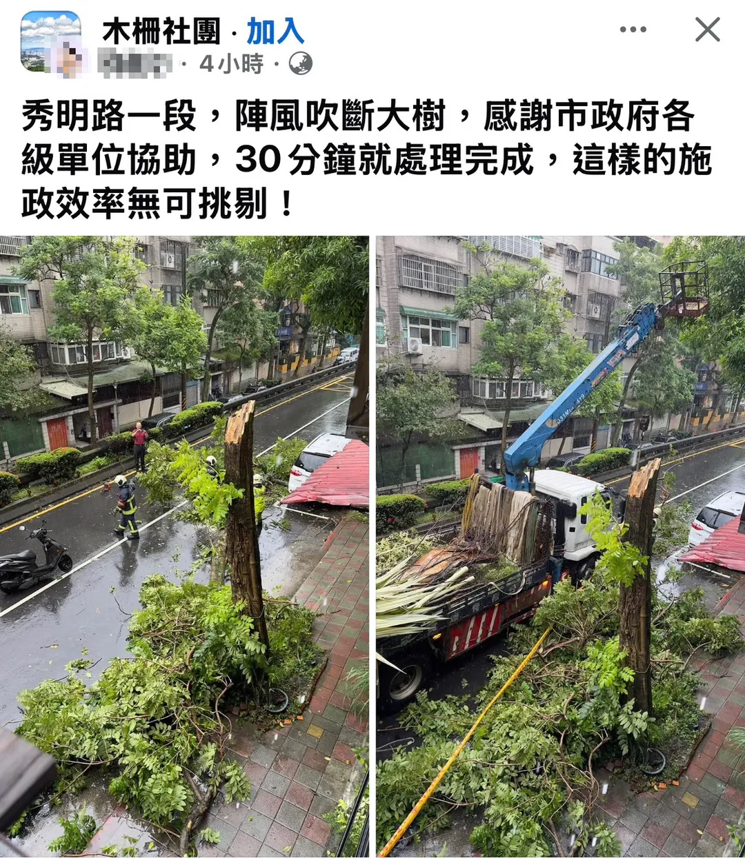 網友發文感謝台北市府處理被強風吹倒的路樹。（圖／翻攝臉書）