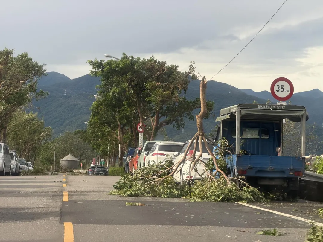 路樹遭強風連根拔起後「倒立」杵在路旁。（圖／Threads網友@h917tw提供）