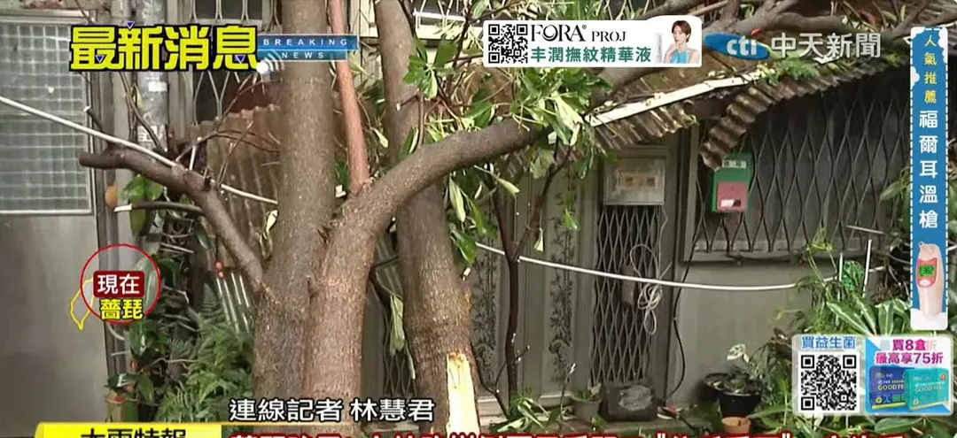 台北市士林區一處民房因為路樹倒塌門口，導致住戶受困一夜。（圖/中天新聞）