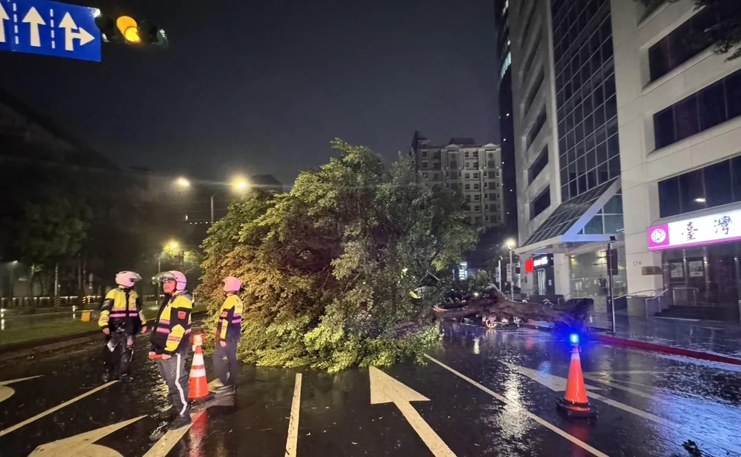 巨樹完全將車輛覆蓋車上3人受困。（圖／翻攝畫面）