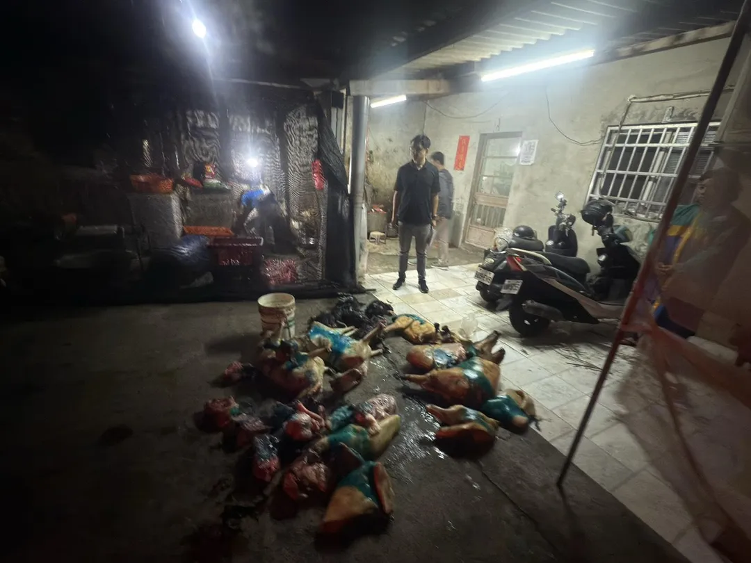 彰化鹿港鎮近日查獲1處非法屠宰場疑似販售狗肉，調查人員將可疑肉品帶走化製。（圖／中天新聞）