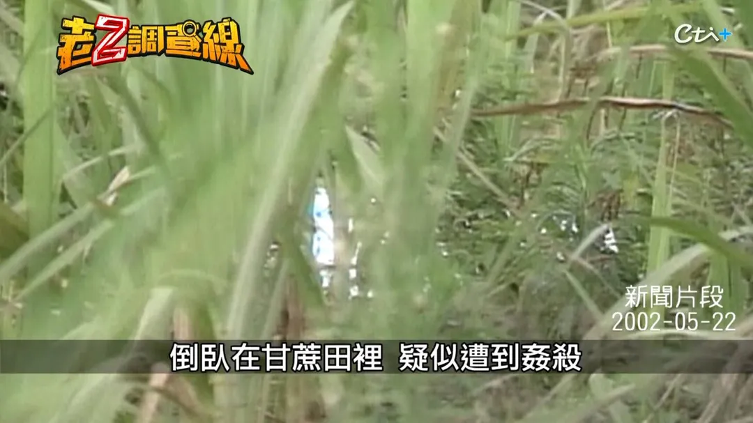2002年花蓮自強外役監附近的甘蔗園,發生駭人聽聞的女運將命案。(圖/老Z調查線)