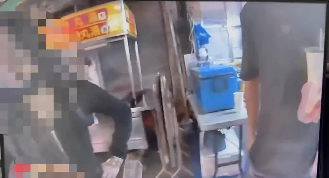 毒鴛鴦被警方查獲持有毒品。（圖／翻攝畫面）