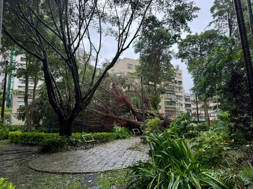 台北市內湖區今（24）日下午16時2分驚傳停電。（圖／民眾提供）