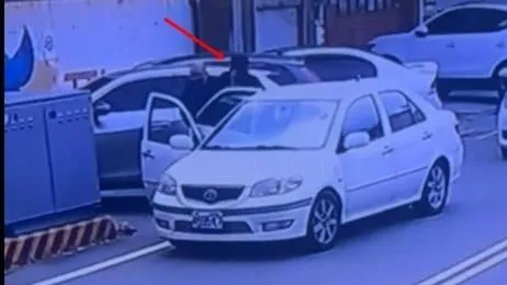 苗栗少婦遭2男當街押上車。（圖／家屬提供）
