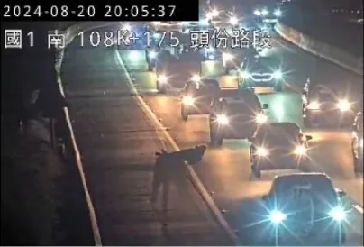 有一名男子橫躺在國道馬路上，所有經過的車子都紛紛閃避。（圖／翻攝畫面）
