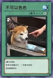 Ponsan過去因為「不可以色色」的迷因圖爆紅。 （翻攝自Dcard）