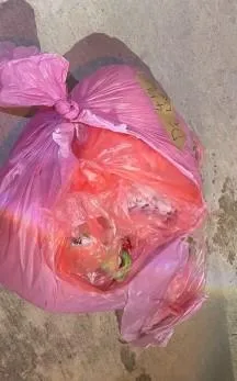 這起案件暴露出一條在台灣地下運作的完整狗肉產業鏈。（圖／翻攝自「社團法人新竹縣流浪動物珍愛協會」臉書）