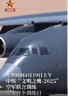 中埃戰機聯訓。(圖/央視)