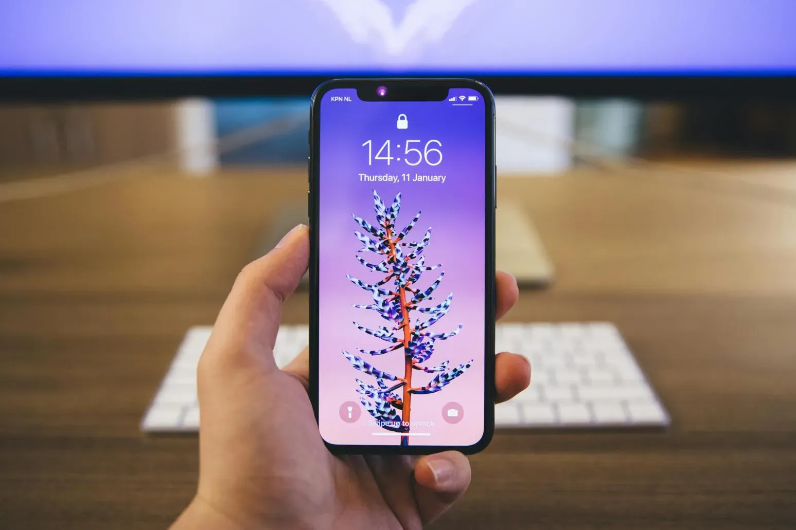 iPhone恐步上iPod後塵？蘋果高層：10年後可能不需要它