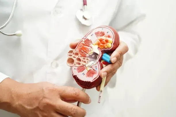 桃園醫院腎臟照護再獲品質認證!多項指標獲評審肯定