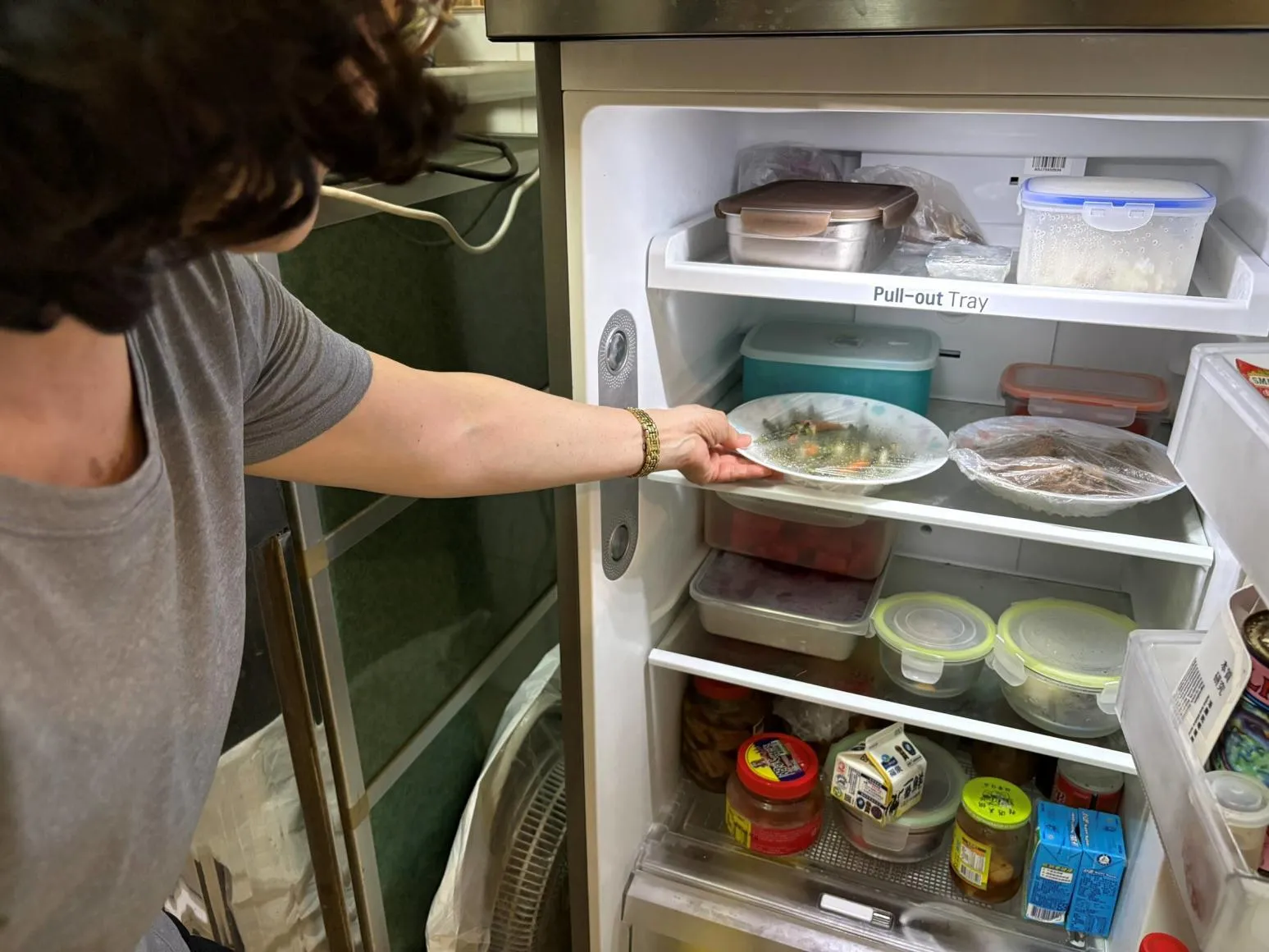 2024年食品中毒破9千人！諾羅病毒、仙人掌桿菌最多