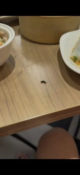 該名網友備感噁心，當場嘔吐(圖/翻攝自臉書社團)