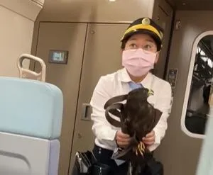 老鷹誤闖台鐵區間車車廂，列車長徒手生擒。（圖／網友raymond19980307 threads提供）