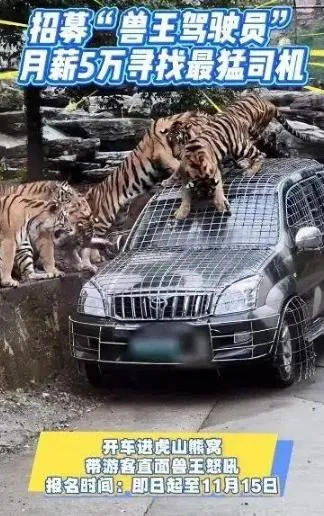 大陸河南一家動物園招募最猛司機，吸引2000多名求職者。（圖／翻攝《光明網》）