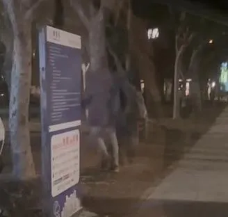 該名亂射BB槍隨機攻擊民眾車輛的男子。（圖／取自chen0000__的Threads，經授權使用）