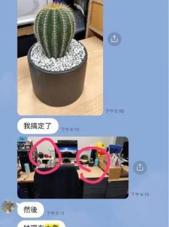 前TVBS主播張靖玲槓指控宮鬥內幕是古彩彥用仙人掌、水晶等大擺風水讓同事備感困擾。(圖/讀者提供)