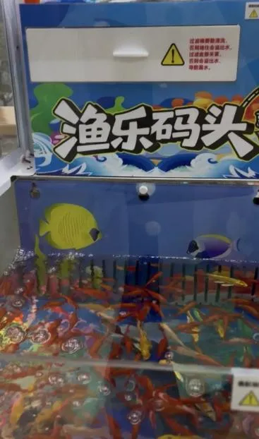 媒體報導後業者改換「撈金魚」。（圖／翻攝南方都市報）