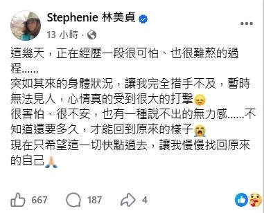 林美貞在社群平台發文坦露病況。（圖／翻攝林美貞　臉書）