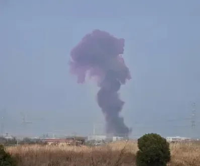 11日下午,江蘇泰州市一工業園區內發生爆炸,事故現場升起紫色濃煙。(圖/翻攝自抖音「大風新聞」)