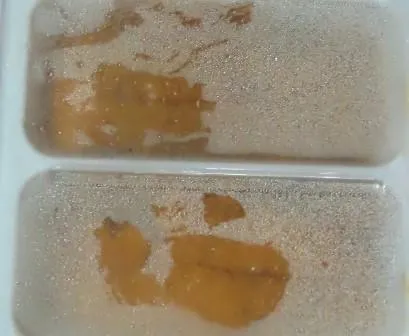 爭鮮股份有限公司自加拿大進口的冷藏海膽卵，鎘含量超出法定標準。（圖／食藥署）