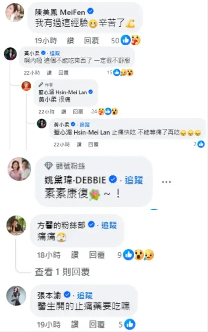 陳美鳳、黃小柔、姚黛瑋、方馨、張本渝留言關心藍心湄。（圖／翻攝自藍心湄臉書）
