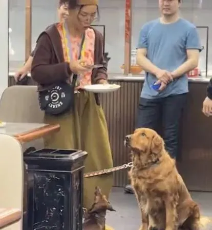 女主人當下將桌椅擦乾淨,也買下了被小狗吃過的盤子。(圖/翻攝自搜狐千里眼微博)