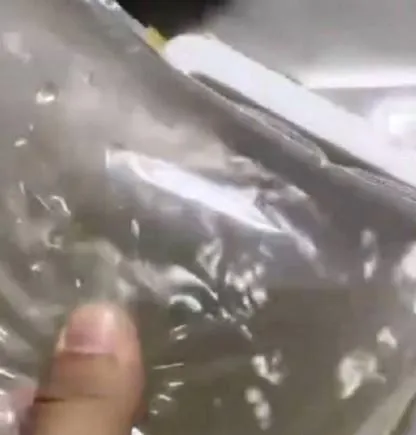 大陸遼寧撫順一名男子網購50條觀賞魚白雲金絲,收到包裹拆箱卻只有一袋混濁的水。(圖/翻攝自微博/百姓關注)