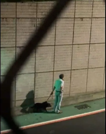 路過犬隻受到驚嚇,不敢走過去。(圖/台北市動保處)