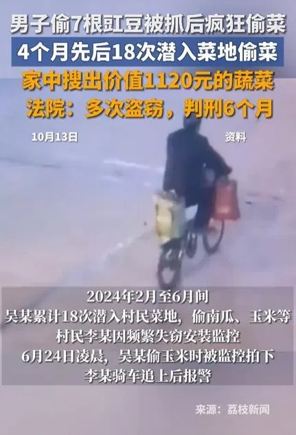 江蘇吳姓男子多次闖入他人田地裡偷菜,遭判竊盜罪。(圖/翻攝陝西法治網)
