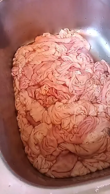 正常豬大腸會呈現粉紅色。（圖／民眾提供）