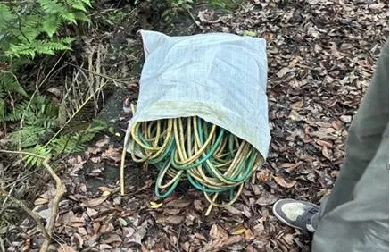大量電纜線已被剪斷放進麻布袋內。(圖/翻攝畫面)