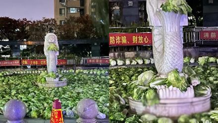 新加坡魚尾獅換「捧菜」造型？大陸瀋陽社區擺滿過冬蔬菜超壯觀