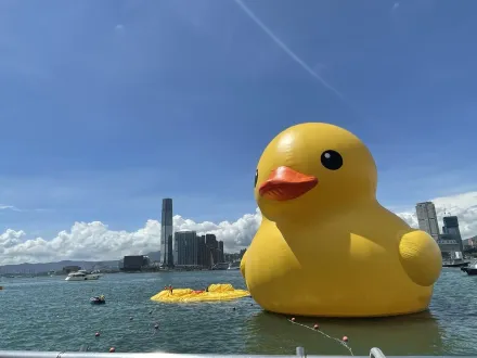 影/好漏氣！黃色小鴨香港展出首日　「10秒癱」鴨皮糗浮維港水面