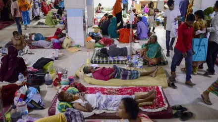 孟加拉登革熱大爆發逾13.8萬人感染　近千人死亡