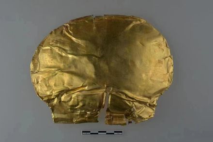 河南鄭州發現大陸首個商代「金覆面」！比三星堆黃金面具年代更早
