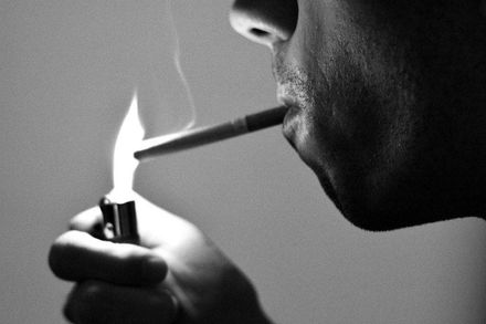 每天抽菸的癮君子　不僅gg變短！國外新研究「抽菸導致大腦萎縮」
