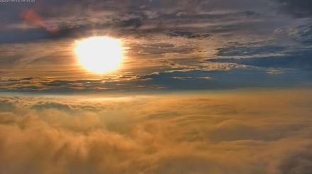 在家看「阿里山美景」！24hr線上旅遊視訊啟用　躺著就能觀賞壯闊雲海