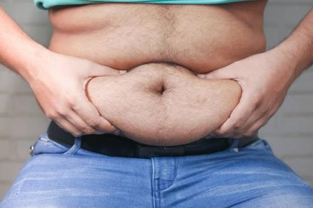 有肥肚肚易患心血管疾病？醫：要看胖在哪　3關鍵助健康減重！