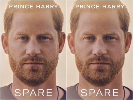 哈利王子出版回憶錄自稱王室「備胎」！出版社：將會是極為私人且情感強烈的故事