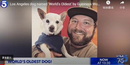 【影】22歲寵物狗獲認證「世界最長壽」　飼主揭秘訣：全心全意愛牠