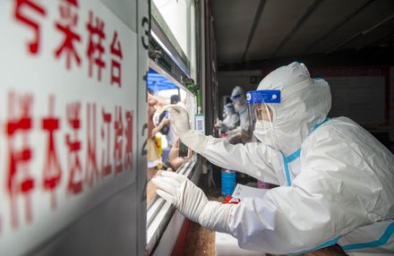 雲南曲靖20萬人被賦黃碼「5天5檢」才能轉陰　新核酸檢測公司「剛好成立」惹議