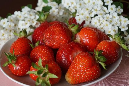 「水果皇后」草莓季節來了！正確清洗方式曝　孕媽咪可多吃「2類人」少吃