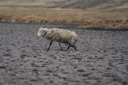 秘鲁遇50年最嚴重早災　世界氣象組織：2050年「50億人將缺水」