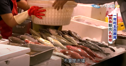 大陸出手？禁台灣水產品　魷魚公會證實了！