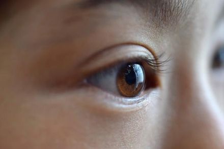 白內障跟亂點眼藥水有關？ 專家揭白內障4大原因、症狀與預防飲食法！