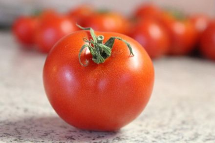 大顆番茄怎樣都好吃！農糧署授生熟料理2做法