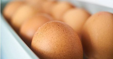 雞蛋保存有眉角不能隨便放！譚敦慈揭雞蛋保存「這樣做」蛋會壞得快！