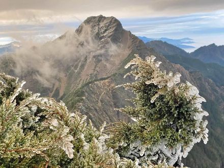 玉山「凍」了！寒流奇景「雨水落地結冰」　鄭明典PO照片嘆：太美