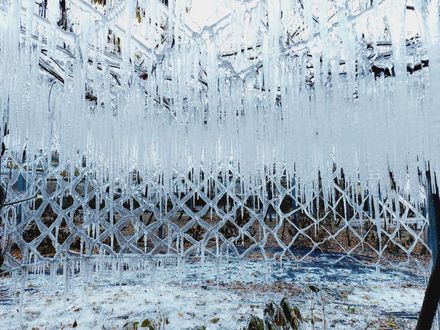 【影】武陵農場變身夢幻「水晶宮殿」！零下4.9度凍出冰晶